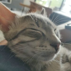 Meet your Posher, Arlene